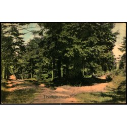 Tisvilde Hegn - Stender 6406 - Brugt