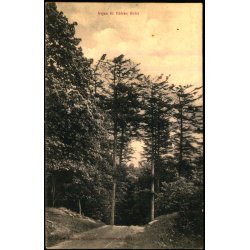 Vejen til Tibirke Kirke - A. Jensens Bogh. 3712 - Ubrugt