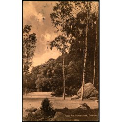 Parti fra Munkemose - Odense  - Chr. Pedersen X 64 - Brugt