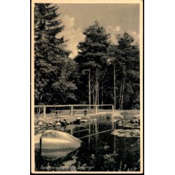 Gudhjem - Parti fra Graamyr  - Colbergs Bogh. 841 - Ubrugt