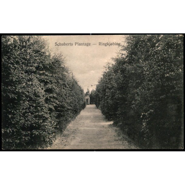 Schuberts Plantage - Ringk�bing - C.J.C. 917 - Brugt