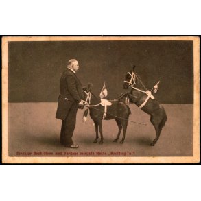 Direktr Bech Olsen med Verdens mindste Heste 