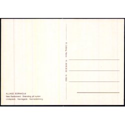 Bornholm - Allinge - Colbergs Bogh. 8343 - Ubrugt