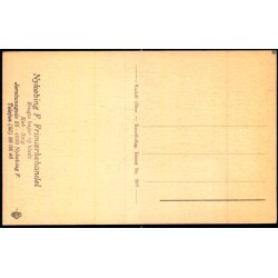 Nyk�bing F. - Chr. IX s Bro - Rudolf Olsen 387 - Ubrugt