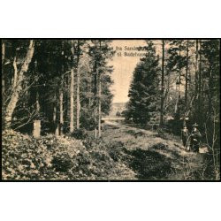 Hilsen fra Sandagerhus - Stien til Badehuset - M.&amp; J. Bach 3854 - Brugt