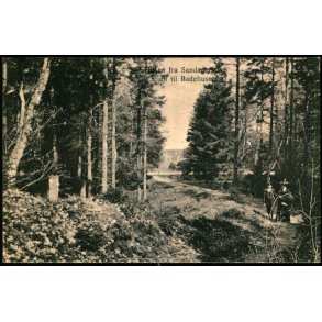 Hilsen fra Sandagerhus - Stien til Badehuset - M.& J. Bach 3854 - Brugt