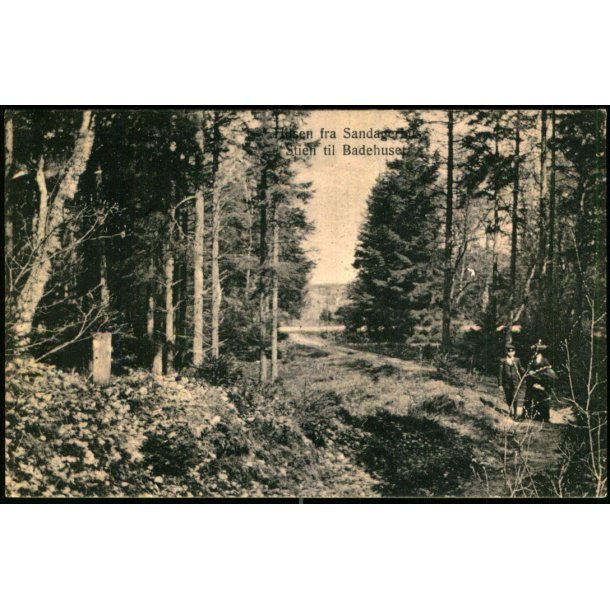 Hilsen fra Sandagerhus - Stien til Badehuset - M.&amp; J. Bach 3854 - Brugt