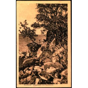 Bornholm - Klippeparti ved Randklve - Alex Vincent 488 - Brugt