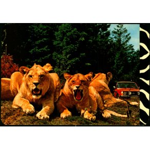 L�veparken Givskud - L� 17 - Brugt