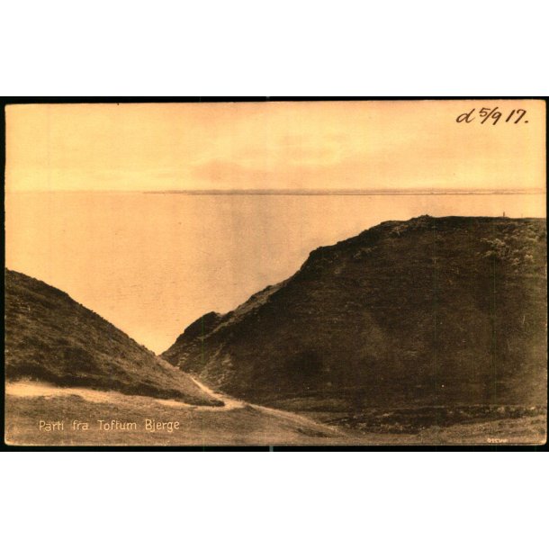 Parti fra Toftum Bjerge - O. Smith Knudsen 44220 - Ubrugt