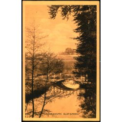 Sorgenfri Slotspark - Henriksens Bogh. 37538 - Ubrugt - Har v�ret kl�bet op !