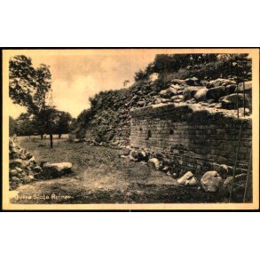 Gurre Slots Ruiner - L. Hansen 77010 - Ubrugt