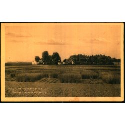 Trifoliums Fors�gsgaard - T�strup - Larsen 37629 - Brugt