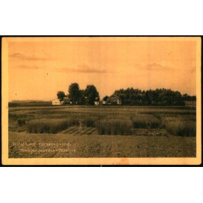 Trifoliums Fors�gsgaard - T�strup - Larsen 37629 - Brugt