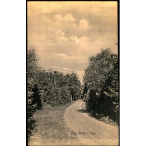 Fra Tisvilde Hegn - A. Jensens Bogh. u/n - Brugt