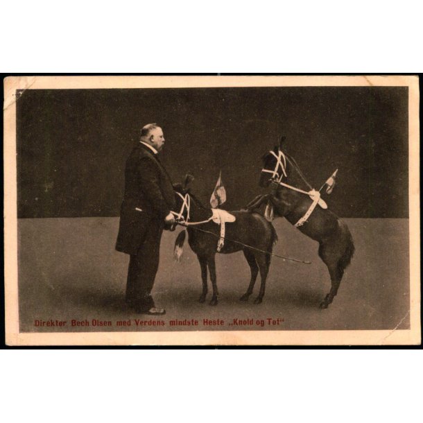 Direktr Bech Olsen med Verdens mindste Heste "Knold og Tot" - u/n - Ubrugt - Svage hjrner !