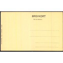 Den hvide bro i Sorgenfri Slotspark - Henriksens Bogh. u/n - Ubrugt 