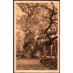 Efterporto - Postkort fra Jgerspris  3 - 8 - 1934 - Efterporto 20 re - Forside : Kongeegen