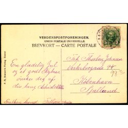 Fr�bjerg Bauneh�j - P.M. Br�nsros Forlag u/n - Brugt