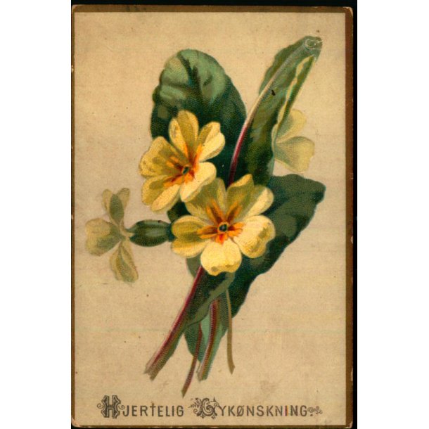 Kartonkort - Hjertelig Lyknskning