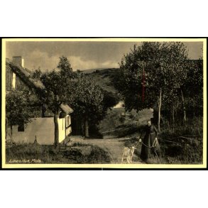 Lines Hus - Mols - Kaj Elle 120 - Ubrugt