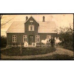 Firh�j - Fotokort u/n - Brugt