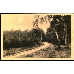 Fra Tisvilde Hegn - E. Ramlaus Bogh. 43407 - Ubrugt