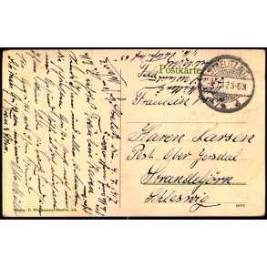 Feldpost - Strelitz  4 - 7 -17 - Til Ober Jersdal  - Billedside : Strelitz