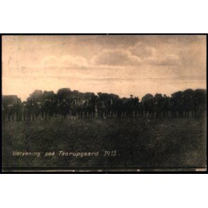 Udrykning paa Taarupgaard 1915 - Dall Schmidt u/n - Brugt