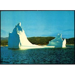 Skovfjorden - Hotel Arctic u/n - Ubrugt