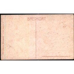 Aftenstemning ved Koldinghus - C&F 21 - Ubrugt