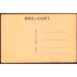 S�nderjyder paa Bes�g i Rigsdagen - Dansk Reklameforlag Eneret - Ubrugt