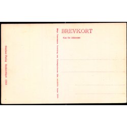 Nyk�bing F. - Parti fra Kohaveskoven -  Stender 12444 - Ubrugt