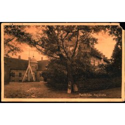 DAMSHOLTE p Postkort