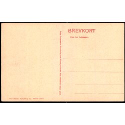 Nyk�bing Sj. - Sandskredet ved Kongs�re - Poul Helms 14471