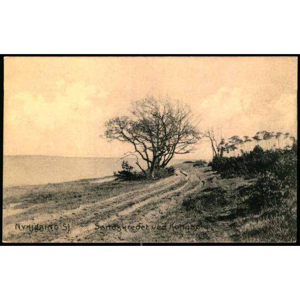 Nyk�bing Sj. - Sandskredet ved Kongs�re - Poul Helms 14471