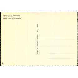 Nyborg - Parti fra Skippegade - Stender 40 507/4 - Ubrugt