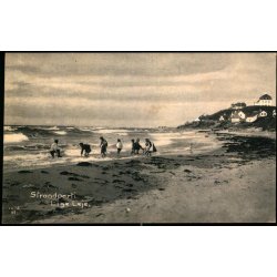 Strandparti - Liseleje - Albert Jensens Bogh. u/n