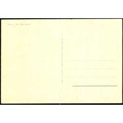 Skive - Gl. Skivehus - Rudolf Olsen 848 - Ubrugt