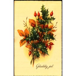 Hans Christian Petersen - Gldelig jul - Serie 50 - Brugt