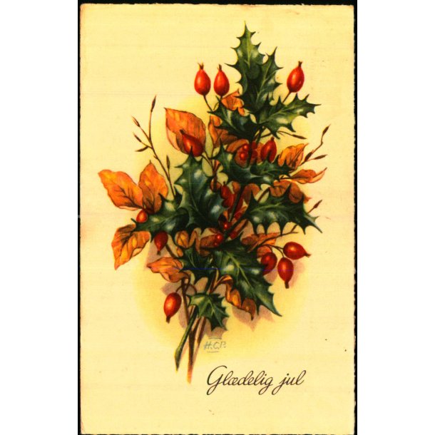 Hans Christian Petersen - Gldelig jul - Serie 50 - Brugt