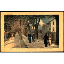 C. Bayer - Parti af Kastelsveien med Blindeinstitutet og Dvstummeinstitutet  - Alex Vincent 292/10