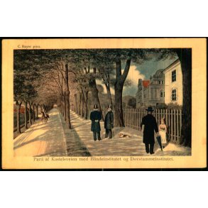 C. Bayer - Parti af Kastelsveien med Blindeinstitutet og Dvstummeinstitutet  - Alex Vincent 292/10