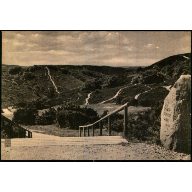 Nedgangen til Rebild Nationalpark - Eneret 89464 - Ubrugt