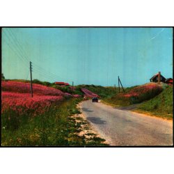 Nedk�rsel til  Tornby Strand - Asmussen 422 - Ubrugt