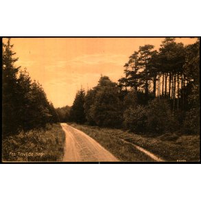 Fra Tisvilde Hegn - A. Jensens Bogh. 43409 - Ubrugt