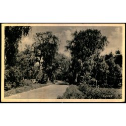 Asserbo - E. Ramlaus Bogh. 78364 - Brugt