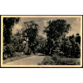 Asserbo - E. Ramlaus Bogh. 78364 - Brugt