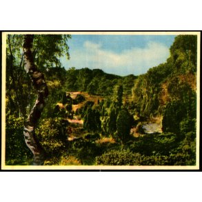 Tisvilde Hegn - Paradisdalen - Rudolf Olsen 353 - Ubrugt