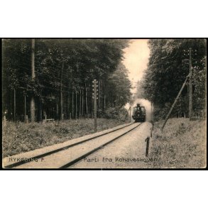 Nyk�bing F. - Parti fra Kohaveskoven -  Stender 12444 - Ubrugt